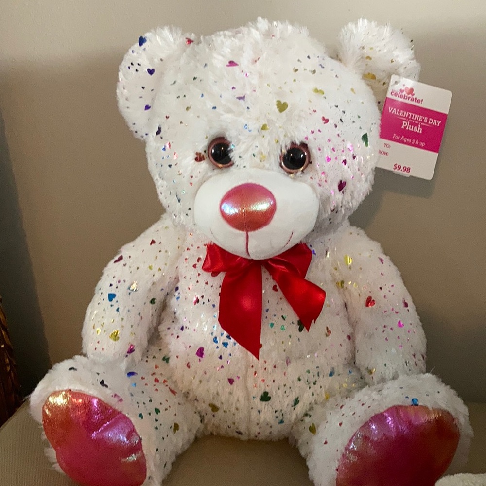 Rainbow Teddy Bear